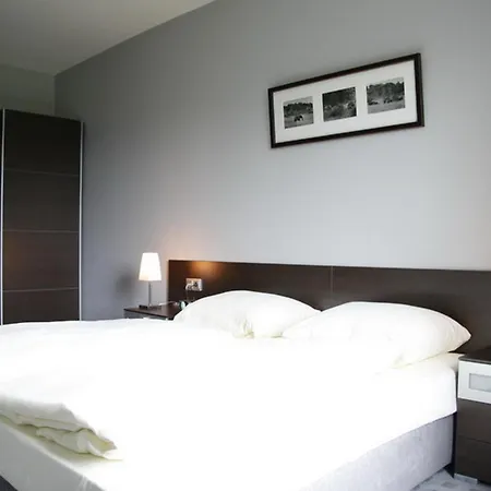 酒店 丹普木赫酒店 诺伊基兴-弗林